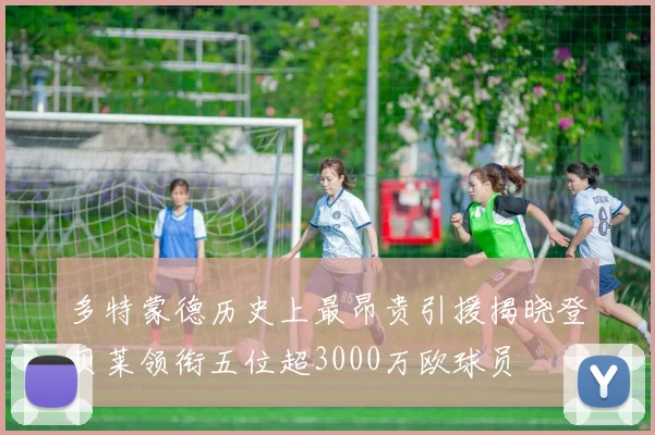 多特蒙德历史上最昂贵引援揭晓登贝莱领衔五位超3000万欧球员